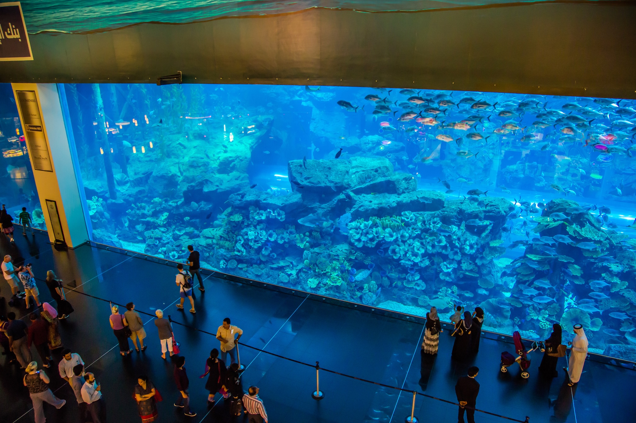 Aquarium de Dubaï Horaires, Prix & Billets